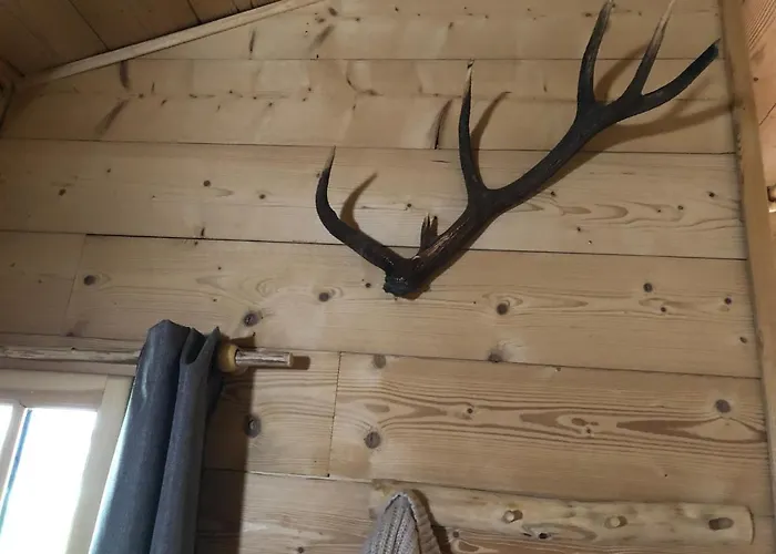 La Du Trappeur Ore (Haute-Garonne)